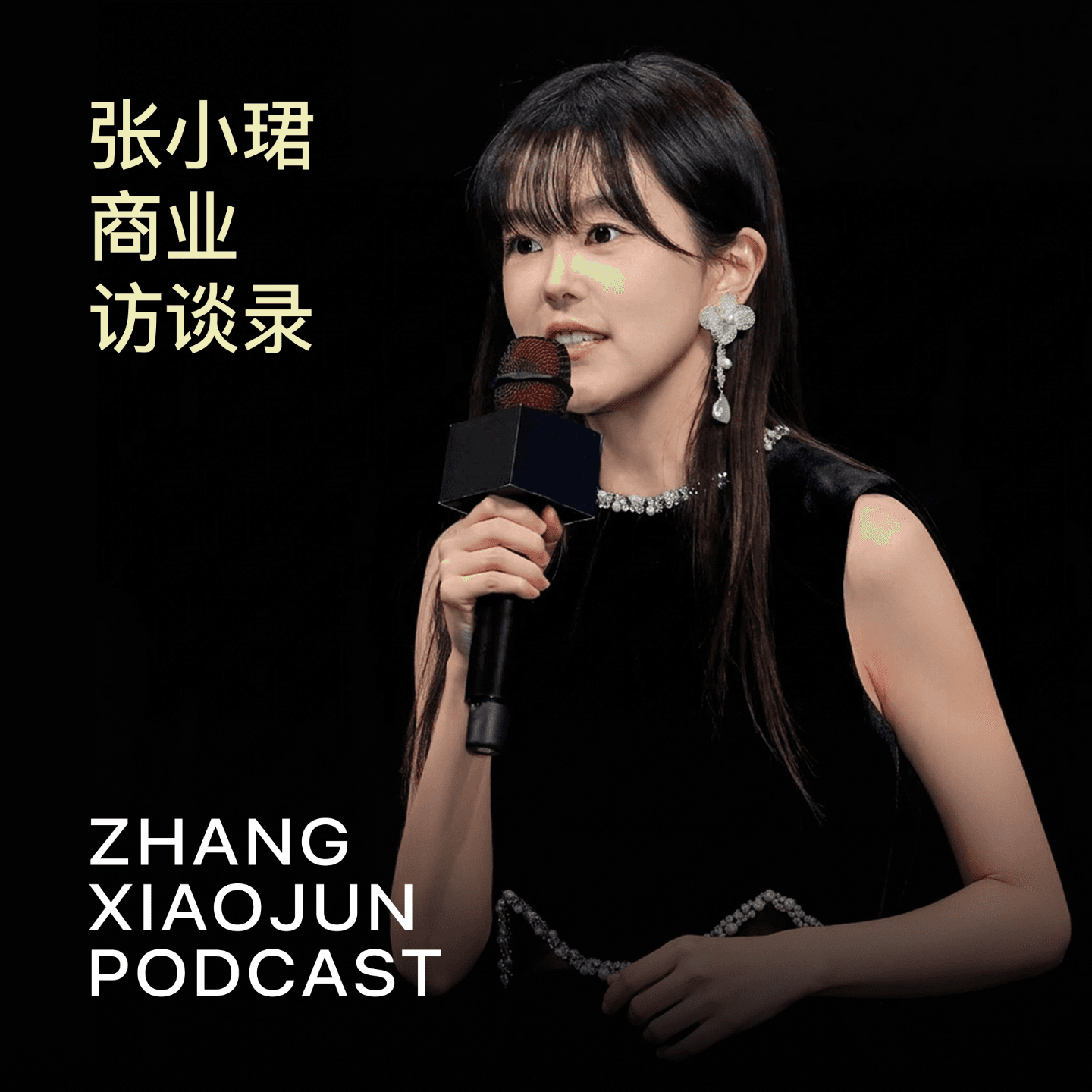 张小珺Jùn｜商业访谈录